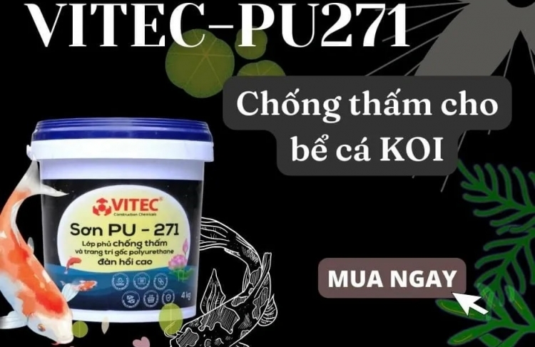 Sự Lựa Chọn Sơn Chống Thấm Hồ Cá Koi Tốt Nhất Năm 2023